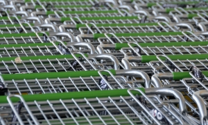 shopping-carts-2077841_1280